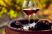 Puerto Madryn se llena de vino: llega el Primer Encuentro Chubutense de Productores Vitivinícolas