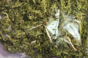 Iba en moto, sin licencia, con alcohol en sangre y marihuana encima