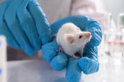Un estudio logró convertir células cancerosas en neuronas funcionales
