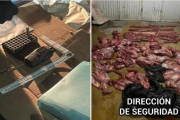 Interceptaron dos camionetas con carne de guanaco y municiones en la Ruta