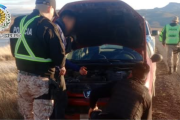 Frenaron a dos tipos y encontraron un ñandú en el asiento trasero