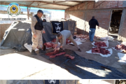 Incautan 800 kilos de carne de guanaco y arsenal ilegal en Trelew