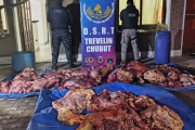Cargaban carne sin aval sanitario y terminaron con todo secuestrado en Trevelin