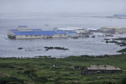 Tsunami impacta costas del pacífico tras potente sismo en Kamchatka