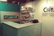 Robaron equipamiento clave de un centro veterinario en pleno centro de Madryn
