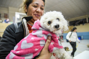 Vacunas, castraciones y más: campañas gratuitas en los barrios