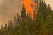 Puerto Patriada: el fuego avanza de forma "explosiva" y confirman el uso de acelerantes