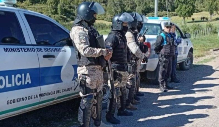 La Policía desarticuló una red de actividad forestal ilegal en la Comarca Andina